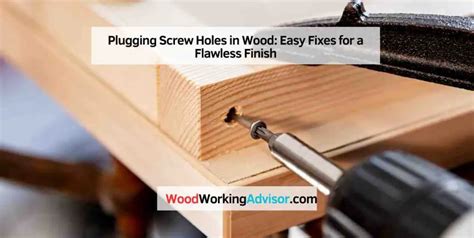 plugging screw holes in wood